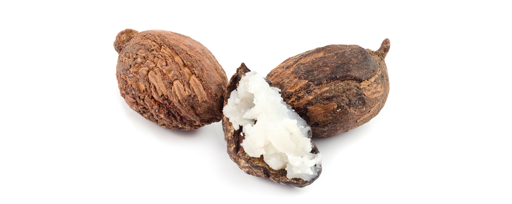 Shea Butter 1000x400